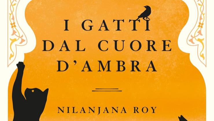 I gatti dal cuore d’ambra di Nilanjana Roy