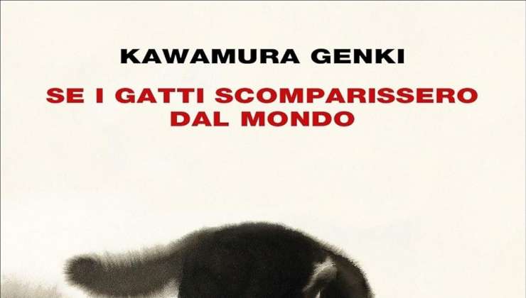 Se i gatti scomparissero dal mondo di Genki Kawamura