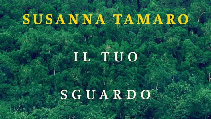 pdf il tuo sguardo illumina il mondo